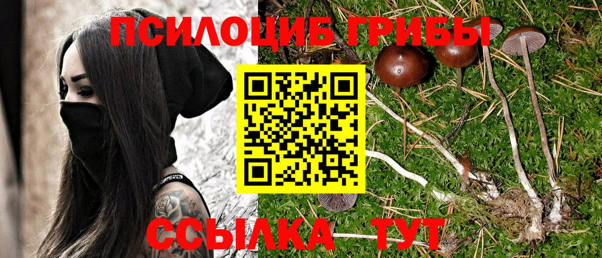 Галлюциногенные грибы Cubensis  купить наркотики цена  Галлюциногенные грибы GOLDEN TEACHER  Видное  Вход с VPN 