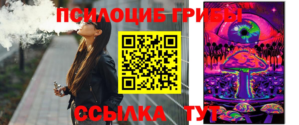 Галлюциногенные грибы Psilocybe Видное